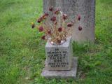 image of grave number 966915